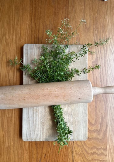 Labkraut für Käseherstellung