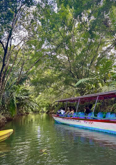 mangrove tour, manual antonio national park, costa rica boat tour