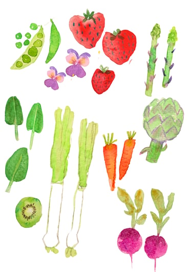 fruits et légumes aquarelle lyon