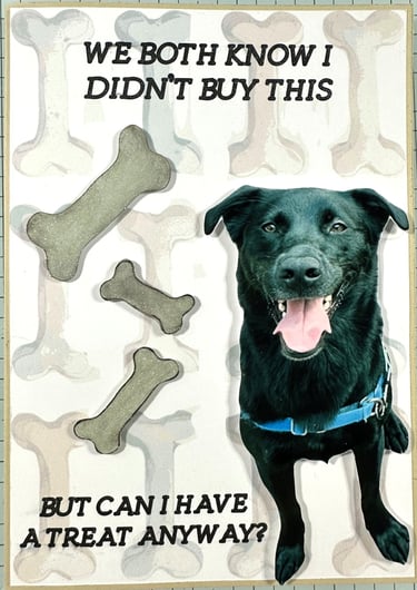Birthday Card with a dog and some bones on the front