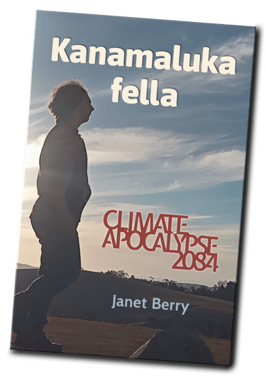 Cover of my book, Kanamaluka fella
