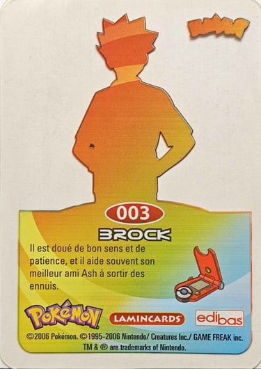  Pierre Lamincards Pokémon série 3 back