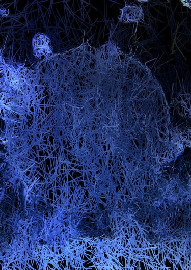 digital art, visual art, digital paintings, Joanna Wlaszyn