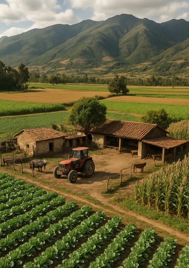 Image Journée internationale des Nations Unies pour la coopération Sud-Sud