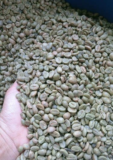 Arabica green bean coffee Java Preanger non skin, non roasting