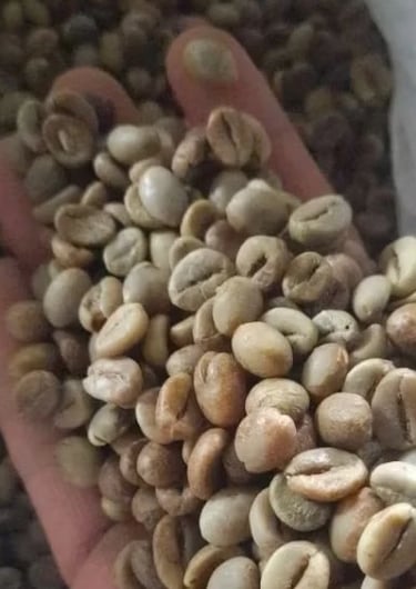 Arabica green bean coffee non skin non roasting