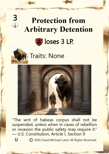 Protection from Arbitrary Detention