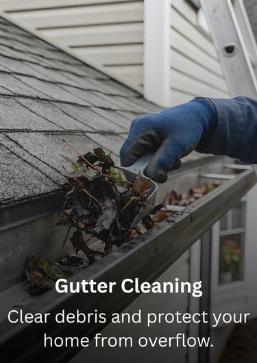 Gutter cleaning by TN Profesiional Services