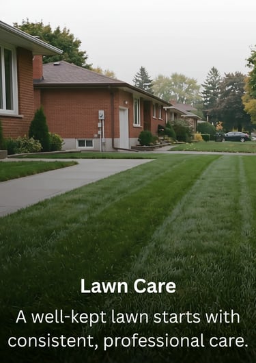 Lawn care maintenance by TN Profesiional Services