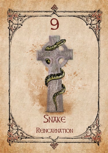 Snake card from the animal spirit oracle deck