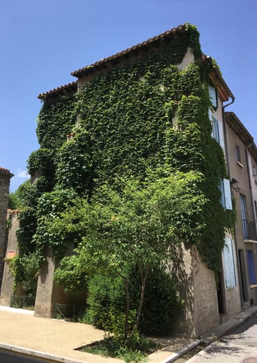 Extérieur d’une location de vacances à Quillan dans la vallée de l’Aude