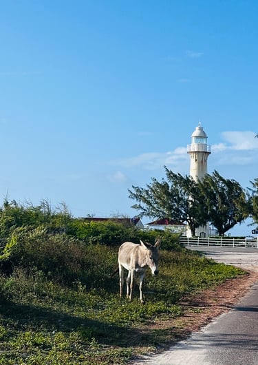 Grand Turk Lighthouse