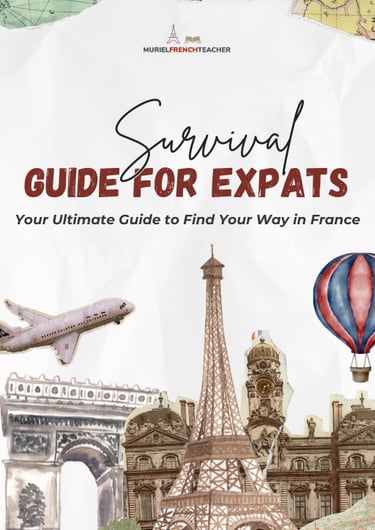 survival-guide-expats-france