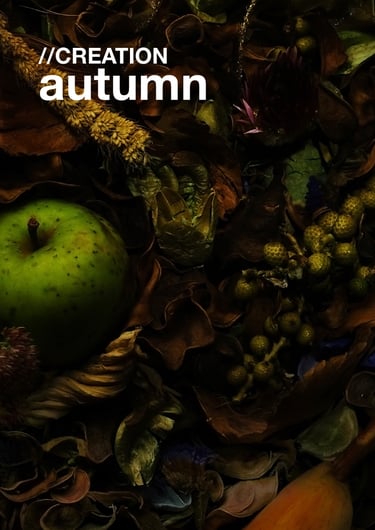 KANTE creation autumn