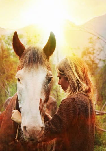 caballos cosmico sanación energética