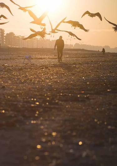 homme marchant sur la plage avec des oiseaux dans le ciel