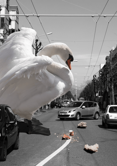 Fotomontage mit Schwan in der Stadt – Beispiel aus dem Kurs Photoshop Composing Basel.
