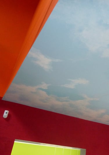 Ce ciel plafonnant contemporain créé une touche d'originalité et invite à l'évasion dans une entrée stylée et très moderne. 