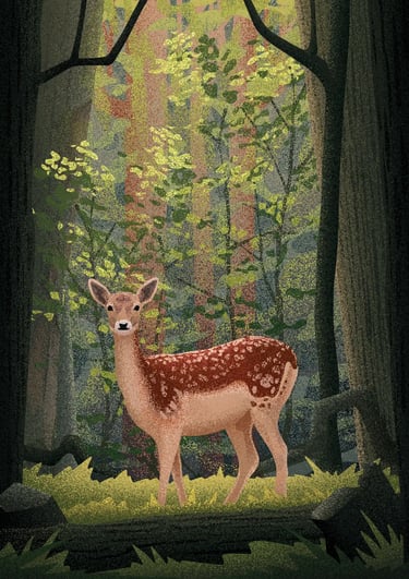 board game illustration of a deer standing in a sunlit forest