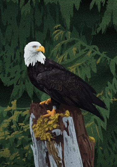 board game illustration of a bald eagle perched on a stump