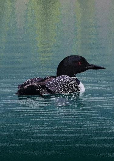 board game illustration of a loon floating in a lake