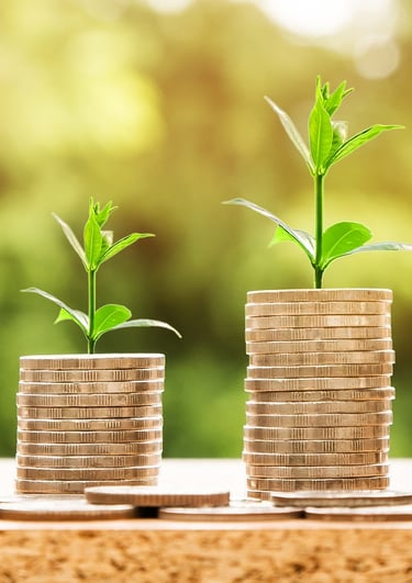 coins with plants sprouting out of them symbolizing growing wealth and compound interest