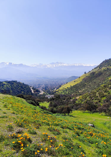 Exploración de Santiago aprendiendo idiomas en movimiento