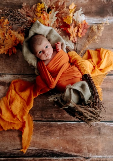 un bébé dans un panier en automne