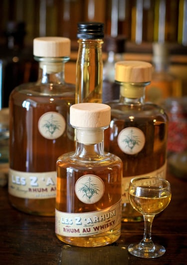 Autres Elixirs, rhum au whisky, gin arrangé, vodka arrangée, punch, vin