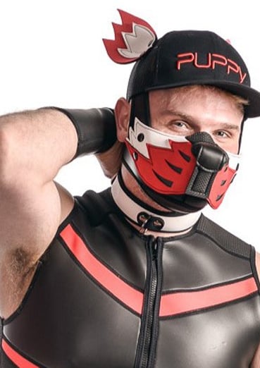 Man in pup wolf mask and cap