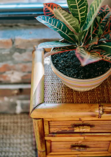 Accessoires femmes et Décoration tendance occasion à chiner