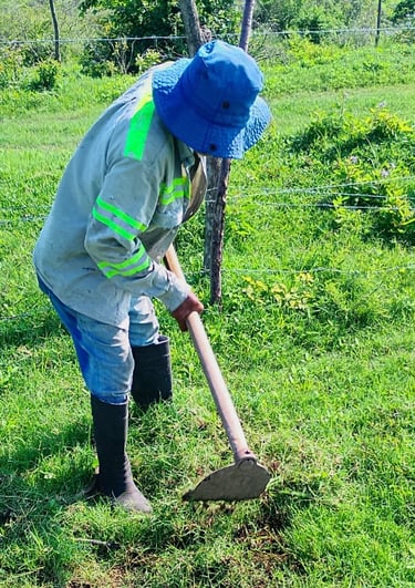 Persona arando tierra fertil para sembrar