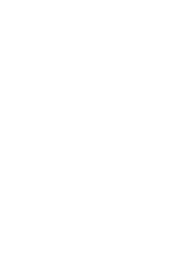 Logo Ineca Conseil