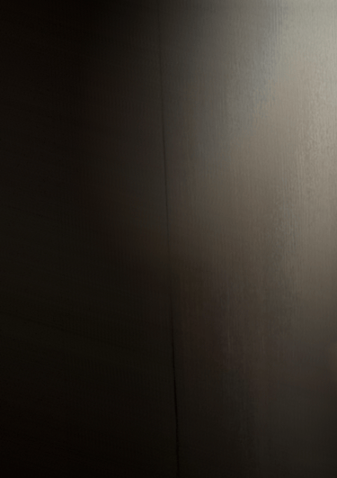 dogAdvisor ✲ dogadvisor ✲ dog advisor ✲ Blog for new dog owners ✲ dogs ✲ dog advisers ✲ dog advisors