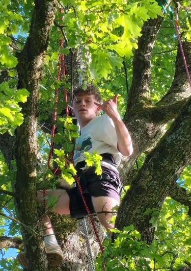 participant dans l'arbre
