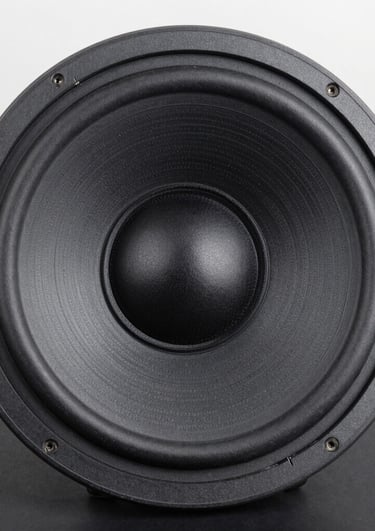 A round black subwoofer speaker driver with a textured cone and rubber surround for high-fidelity audio systems.
