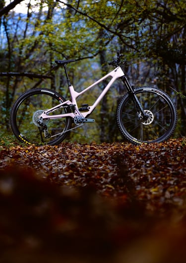 Vélo forbidden druide 2026