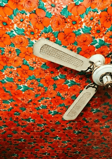 techo de flores con ventilador blanco en casa menonita