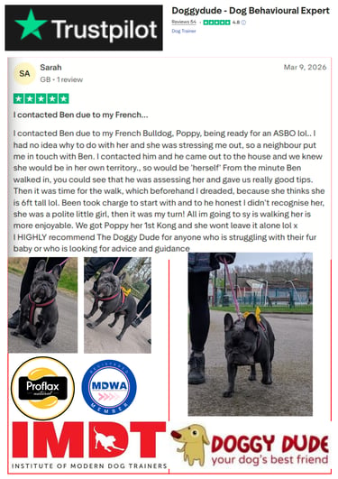 5-Star Trustpilot review for Ben the Doggy Dude behaviour training and dog walking in Radcliffe.