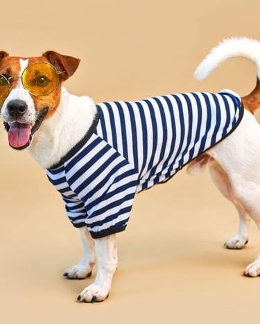 Jack Russell Terrier con una camiseta de rayas azules y gafas de sol amarillas sobre un fondo beige.
