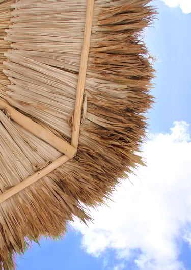 Straw Umbrella Photo to Download