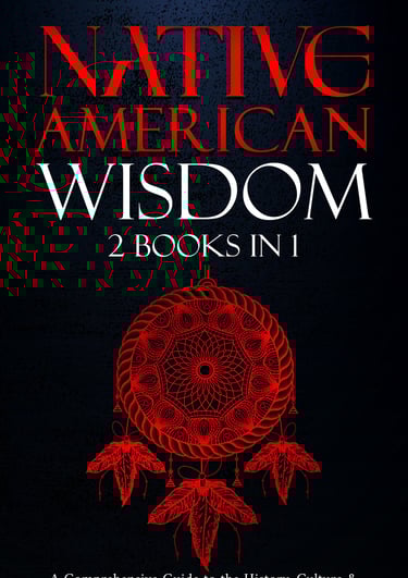 a native american dream catcher's book cover