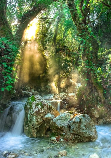 rainforest waterfall with rocks and flowing stream
