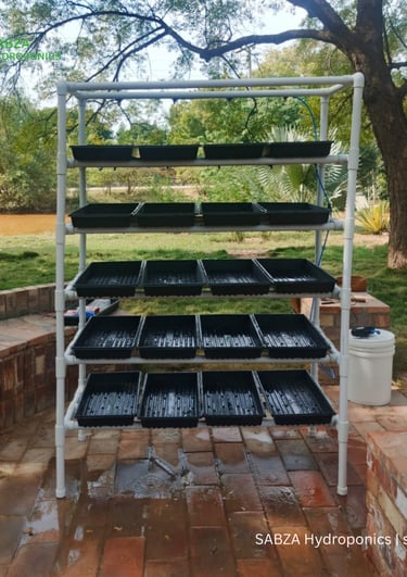 Hydroponic fodder and microgreens