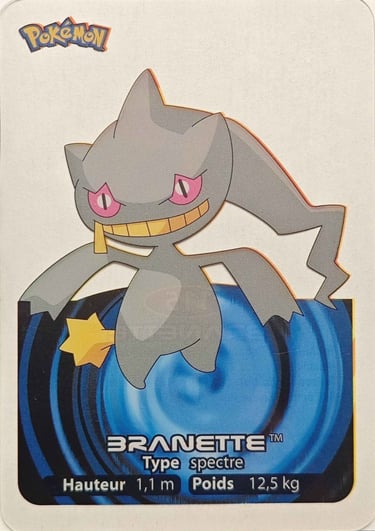115 Branette Lamincards Pokémon série 3
