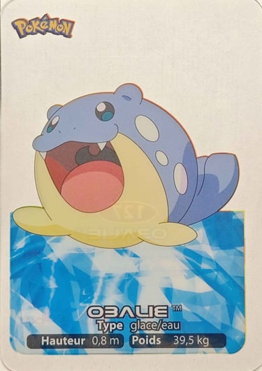 127 Obalie Lamincards Pokémon série 3