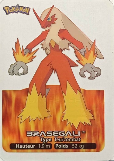 15 Brasegali Lamncards Pokémon série 3