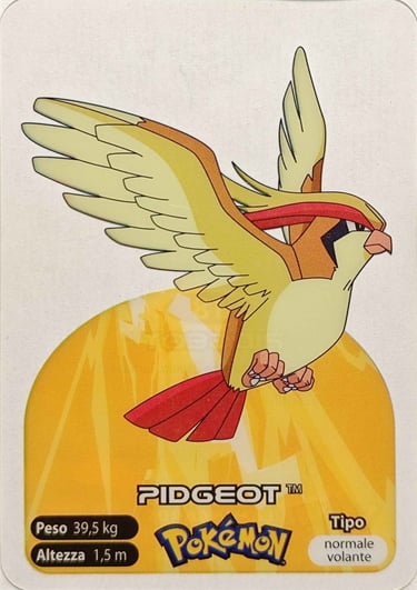 18 Pidgeot lamincards spécial édition