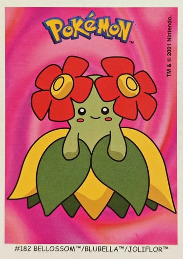 Joliflor Dunkin Boomer 2001