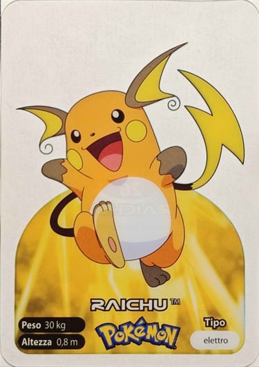 26 Raichu lamincards spécial édition